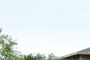 Grays Lake Apartments Des Moines Reviews Grays Lake Apartments Des Moines Reviews